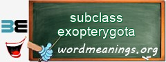WordMeaning blackboard for subclass exopterygota